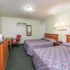 Отель Knights Inn Bracebridge, фото 7