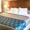 Отель Rodeway Inn & Suites Wilmington North, фото 6