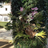 Отель Quinta Do Arco Da Velha, фото 10