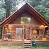 Отель Mt Baker Rim Cabin 17 - A Rustic Family Cabin With Modern Features, фото 9