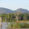 Отель Goyagala Lake Resort, фото 7