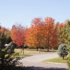 Отель High Trees Bed & Breakfast, фото 12