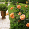 Отель Chambres d'Hotes Mas Les Piboules, фото 16