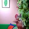 Отель New Loft, фото 8