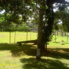 Отель Pousada Jardim da Mata, фото 5