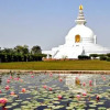 Отель Stupa, фото 14