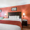 Отель Quality Inn & Suites, фото 23