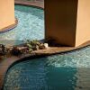 Отель Sterling Resorts - Splash, фото 18