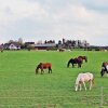 Отель Ferienwohnung Bergblick Xanten, фото 16