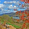 Отель Nature Inn At Bald Eagle, фото 25