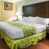 Отель Morro Bay Beach Inn, фото 6