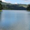 Отель Grace Inn Munnar, фото 11