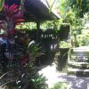 Отель Karang Mesari Ubud Guest House, фото 19