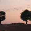 Отель Bidiyah Desert Camp, фото 3