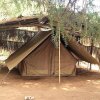 Отель Samburu Riverside Camp в Самбуру