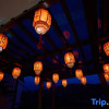 Отель Huangshan Longxige·View Homestay, фото 11