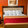 Отель Econo Lodge Inn & Suites Warren, фото 6