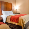 Отель Comfort Inn Northeast, фото 4