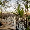 Отель Cabinas Las Olas, фото 6