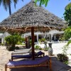 Отель Annex of Bwejuu Beach Palm Villa, фото 16