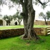 Отель Masseria San Polo, фото 11