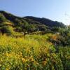 Отель Charming 1-bed Cottage in Cefalu, Sicily, Italy, фото 3