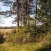Отель In The Woods Hut in the Forest 5 km From Suprasl, фото 12