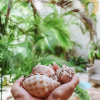 Отель Coco Rio, фото 17