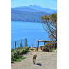 Отель Uniquely located, quiet, facing the sea. 3 Rooms Villa, 6 Beds,  sea 80/100 mt.-Scrittore2 Villa Fio, фото 34