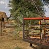 Отель Elephant Bedroom Camp, фото 35