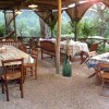 Отель Agriturismo LOlivara, фото 18