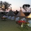Отель Umaid Safaris & Desert Lodge, фото 4