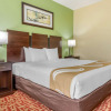 Отель Quality Inn & Suites, фото 7