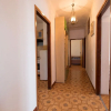 Отель Apartments Josip, фото 12