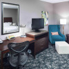 Отель Hilton Garden Inn Detroit/Novi, фото 6