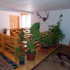 Отель Pensiunea Paradiso, фото 9