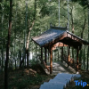 Отель Youtangu Holiday Hotel (Huangshan Huizhou), фото 13