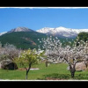 Отель Casas El Molino, фото 3