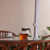 Отель Pandanaran Guest House, фото 15