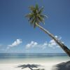 Отель Four Seasons Resort Seychelles at Desroches Island, фото 34