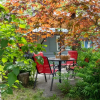 Отель Barefoot Villas Room 1 Redwood, фото 11
