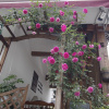 Отель JiuYueJi Inn, фото 45