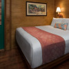 Отель The Cabins At Disney'S Fort Wilderness Resort, фото 6