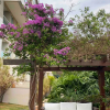Отель Brisas do Lago - Apartamento 12, фото 8