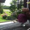 Отель Fortune's Madawaska Valley Inn в Barrys Bay