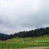 Отель Gulmarg Meadows Resort, фото 4