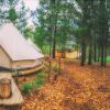 Отель Cherry Glamping, фото 4