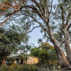 Отель Bulwarra Bed & Breakfast, фото 25