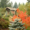 Отель Carson Ridge Luxury Cabins, фото 10