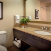 Отель DoubleTree Suites by Hilton Hotel Minneapolis, фото 9